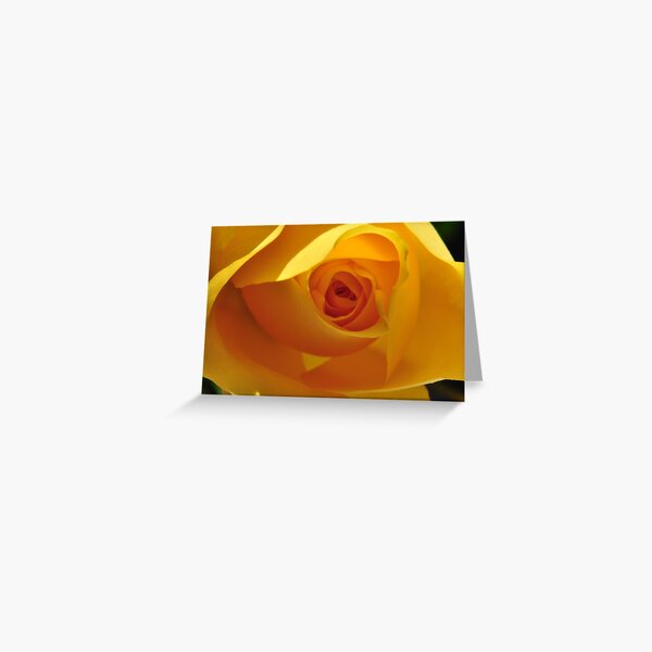 The Yellow Bud Greeting Card