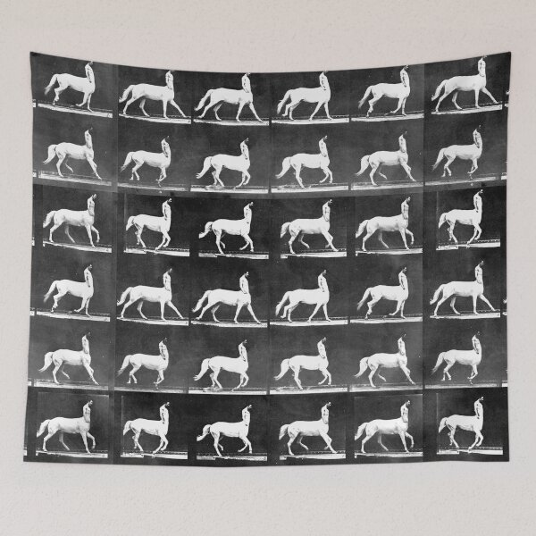 Item preview, A Study of the Movement of Centaurs (Canter). designed and sold by alexiares.