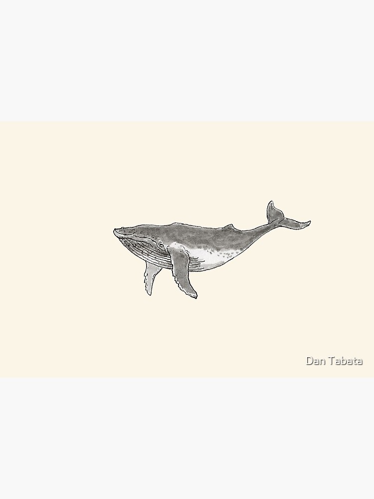 Humpback Whale by dmtab
