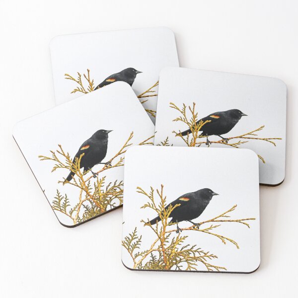 Item preview, Red Winged Blackbird On Cedar designed and sold by Deb Oppermann.