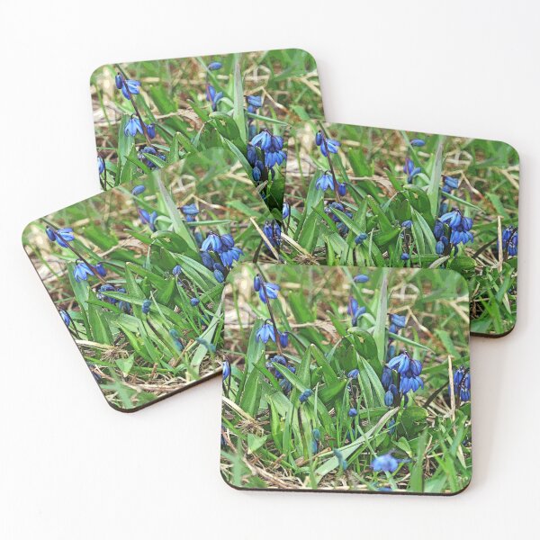 Item preview, Escila siberiana designed and sold by Deb Oppermann.