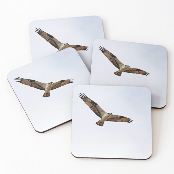 Item preview, Osprey Soaring designed and sold by Deb Oppermann.
