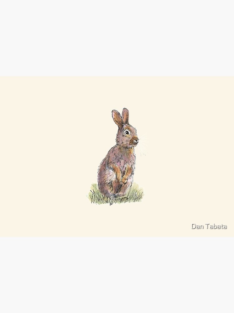 Rabbit by dmtab