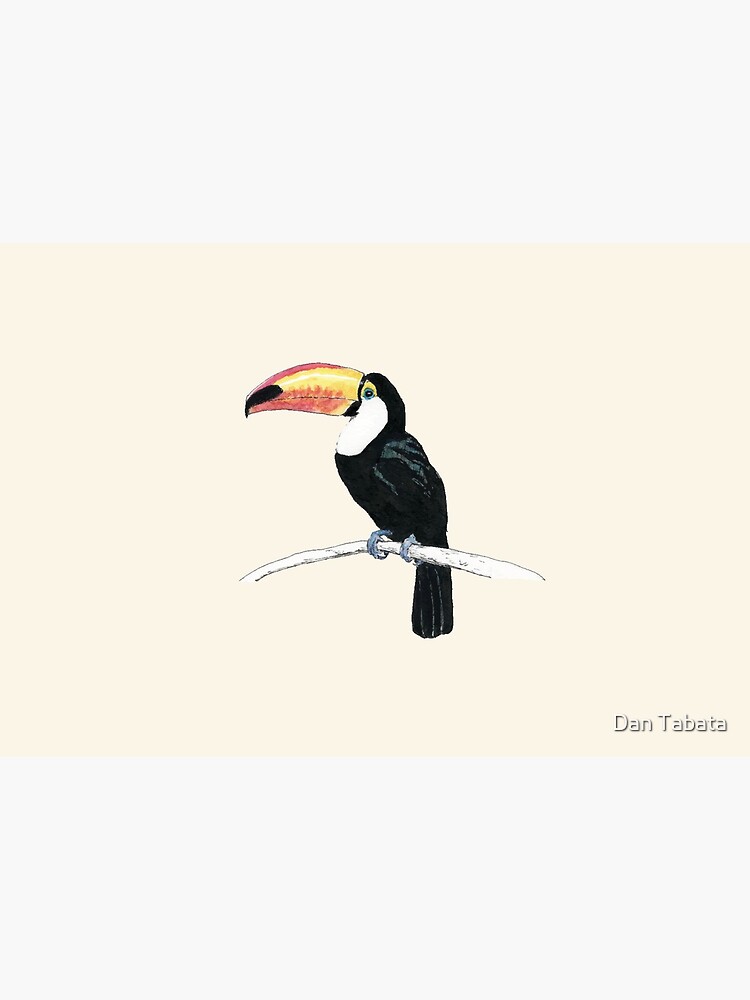 Toucan by dmtab