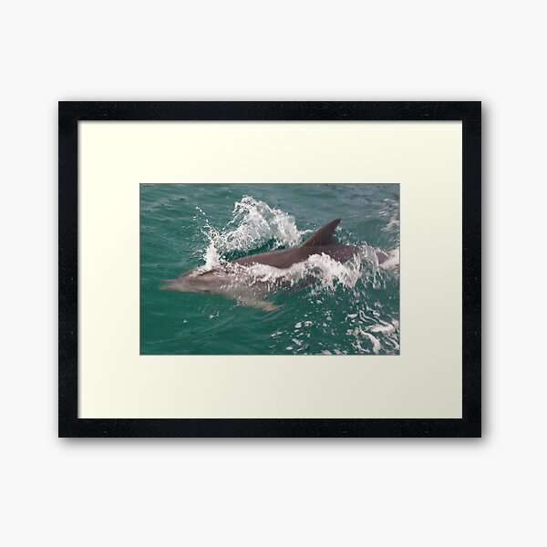 Item preview, Beautiful Tasmania - fun with the dolphins designed and sold by georgieboy98.