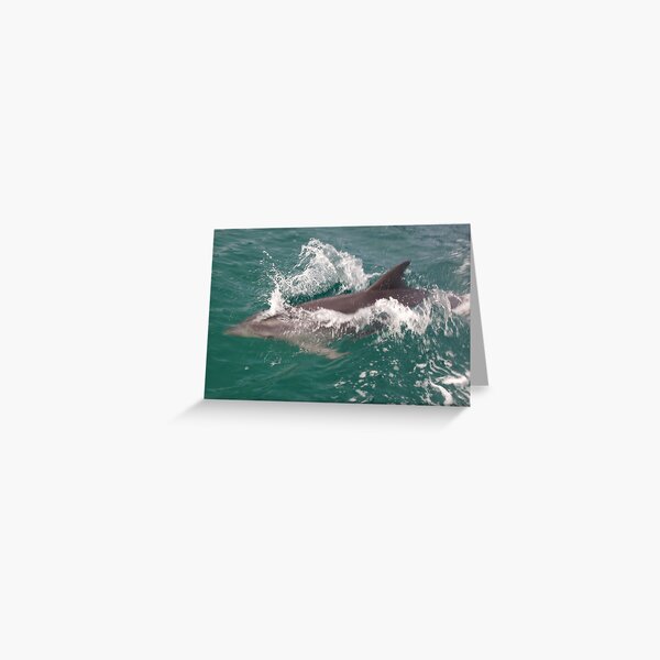 Item preview, Beautiful Tasmania - fun with the dolphins designed and sold by georgieboy98.