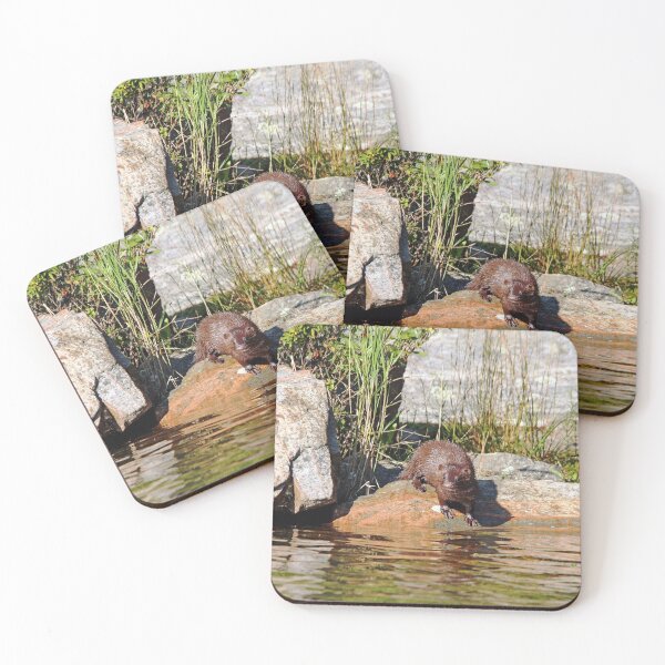 Item preview, Curiousity designed and sold by Deb Oppermann.