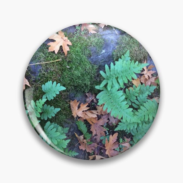 Item preview, Autumn Medley designed and sold by Photos by Michael J. Mesmer.