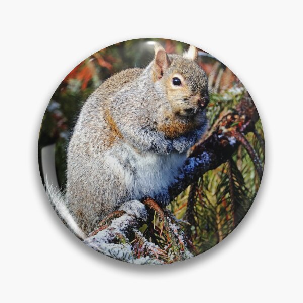 Item preview, Fill The Feeder Please designed and sold by Deb Oppermann.