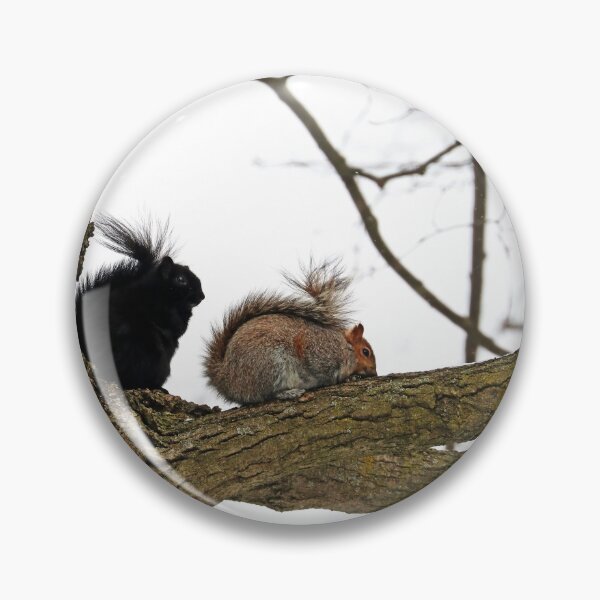 Item preview, Eastern Grey Squirrels designed and sold by Deb Oppermann.