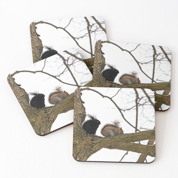 Item preview, Eastern Grey Squirrels designed and sold by Deb Oppermann.