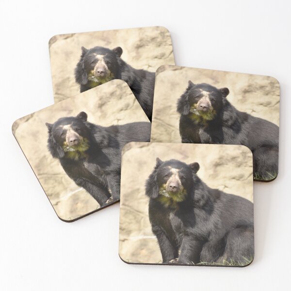 Item preview, Andean Bear at the National Zoo designed and sold by Zoo and Nature Photography by Karie.