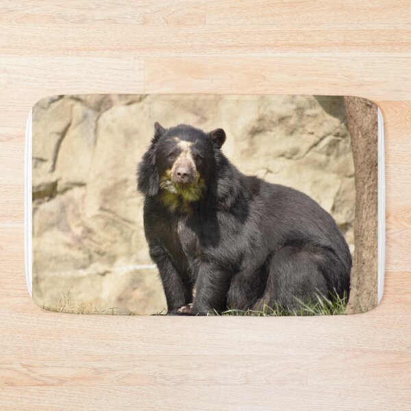 Item preview, Andean Bear at the National Zoo designed and sold by Zoo and Nature Photography by Karie.