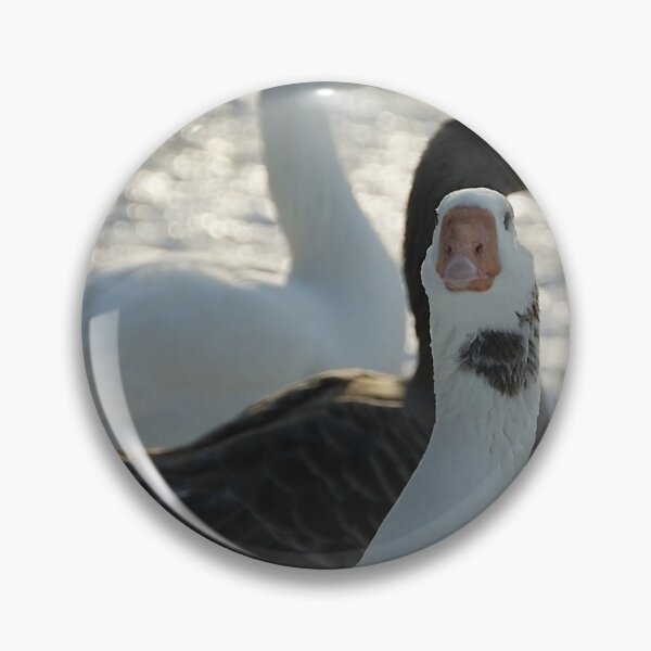 Item preview, duck Duck Duck designed and sold by KensLensDesigns.