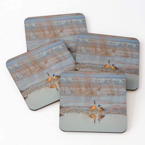 Item preview, Half Dozen 2 designed and sold by LynyrdSky.