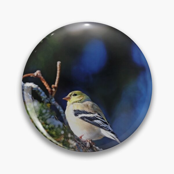 Item preview, American Goldfinch Winter Plumage designed and sold by Deb Oppermann.