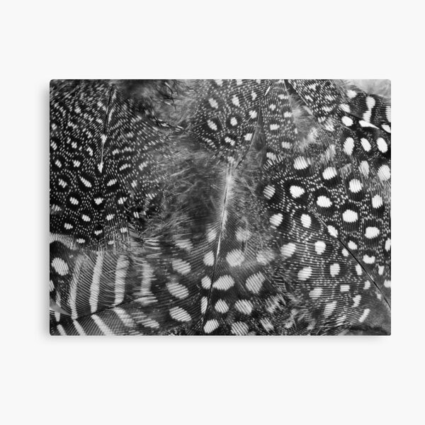 Guinea Patterns..... Canvas Print