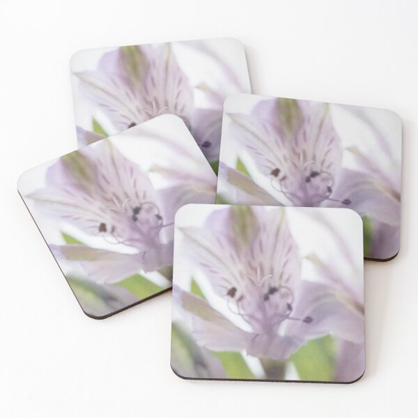 Item preview, Lavender LightBox Alstromeria designed and sold by TLWilsonPhoto.