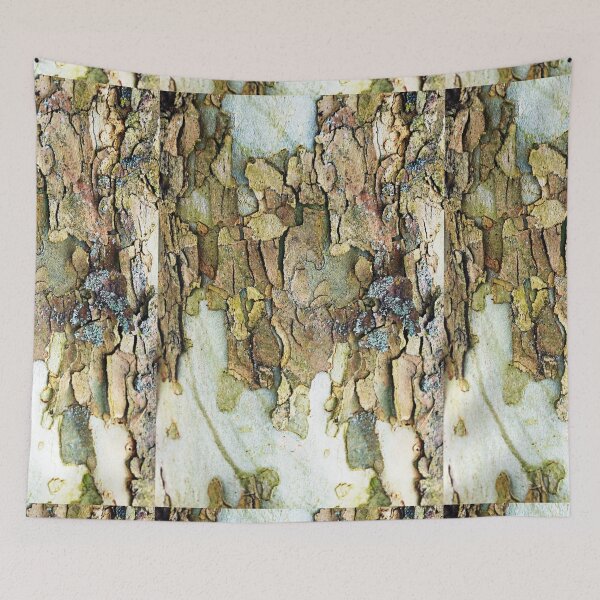 Item preview, Colors Of Eastern Sycamore II designed and sold by Deb Oppermann.