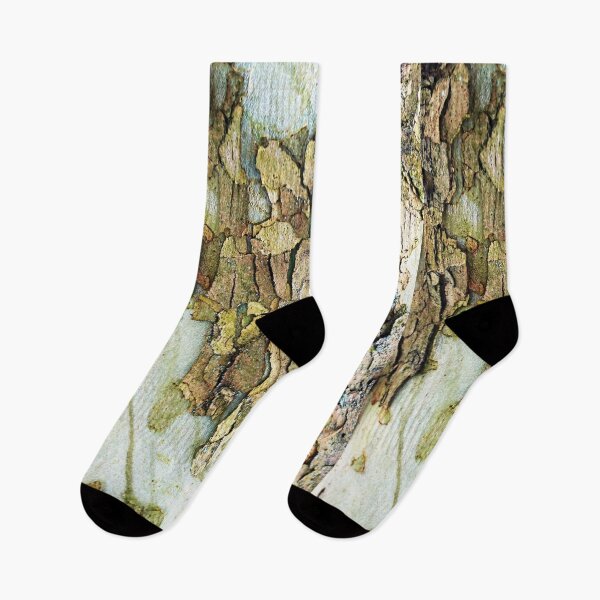 Item preview, Colors Of Eastern Sycamore II designed and sold by Deb Oppermann.