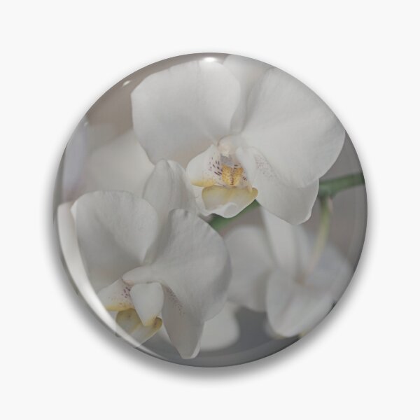 Item preview, Phalaenopsis Orchid 4647 by TL Wilson  designed and sold by TLWilsonPhoto.