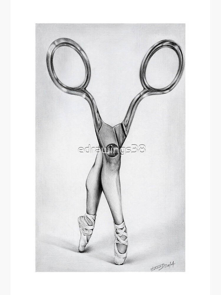 Scissors isolated on white background. Sketch. Vector Stock Vector Image &  Art - Alamy