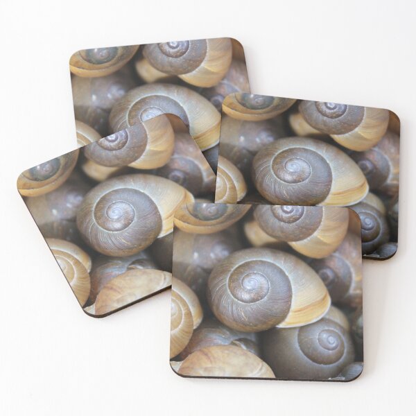 Item preview, Snail designed and sold by Islandjunkie09.