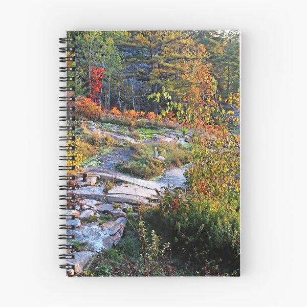 Item preview, Rocky Path Through Autumn designed and sold by Deb Oppermann.