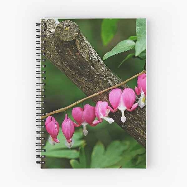Item preview, Bleeding Hearts By Arbor designed and sold by Deb Oppermann.