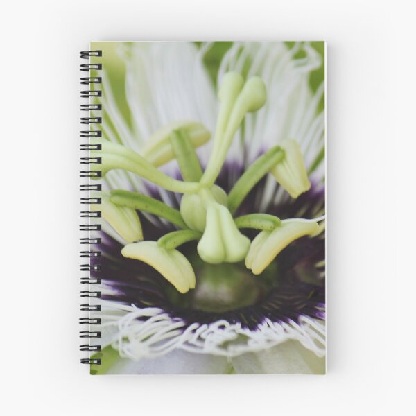 Item preview, Passion Flower designed and sold by Islandjunkie09.
