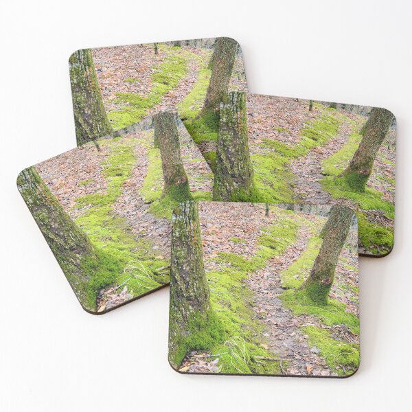 Item preview, Mossy Trail designed and sold by LynyrdSky.