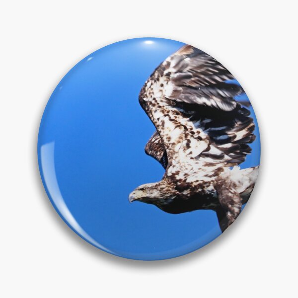 Item preview, Juvenile Bald Eagle Take Off designed and sold by Deb Oppermann.