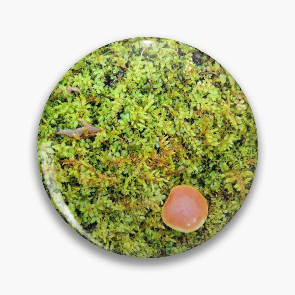 Item preview, New Fungi designed and sold by LynyrdSky.