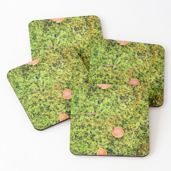 Item preview, New Fungi designed and sold by LynyrdSky.