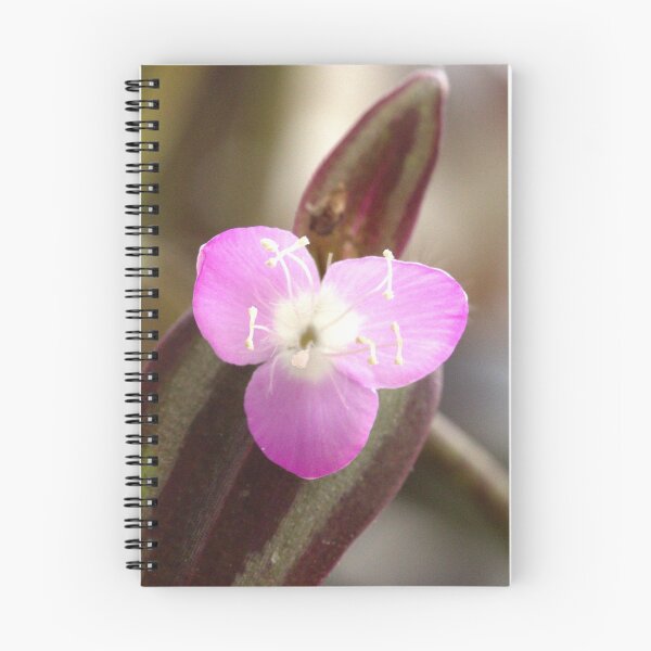 Item preview, Judio errante Bloom designed and sold by Mike Cicero.