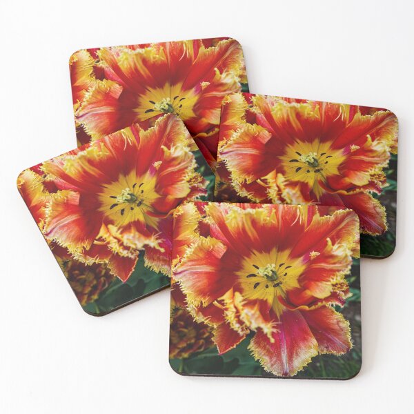 Item preview, Fire Flower designed and sold by Goosebumps90.