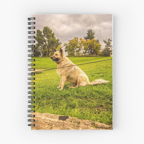 Artikelvorschau, Hund in Olympia entworfen und verkauft von KensLensDesigns.