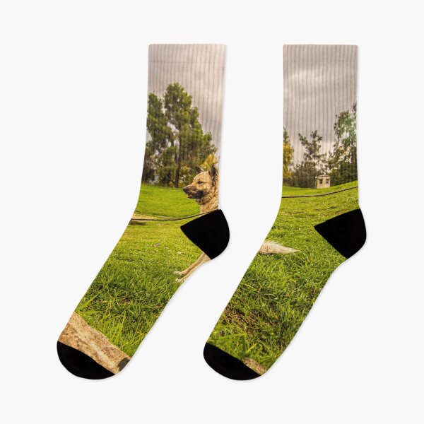 Item preview, Perro en olimpia designed and sold by KensLensDesigns.