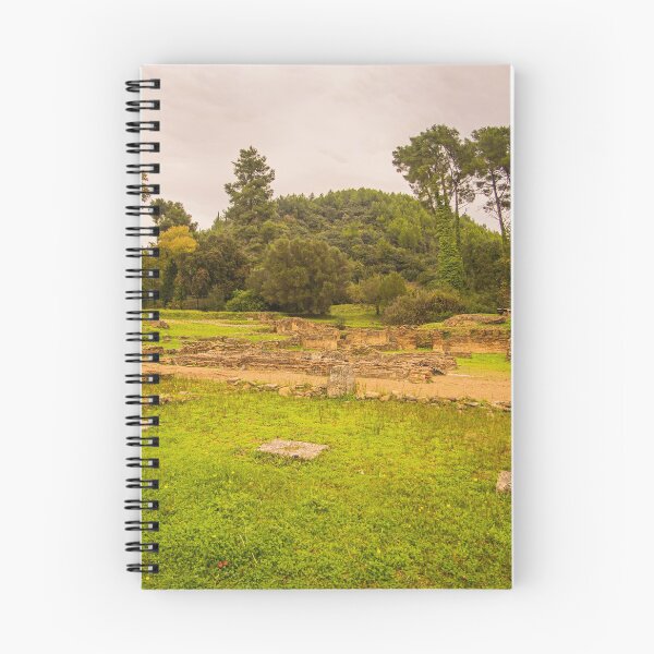 Item preview, Archaeological Site of Olympia designed and sold by KensLensDesigns.