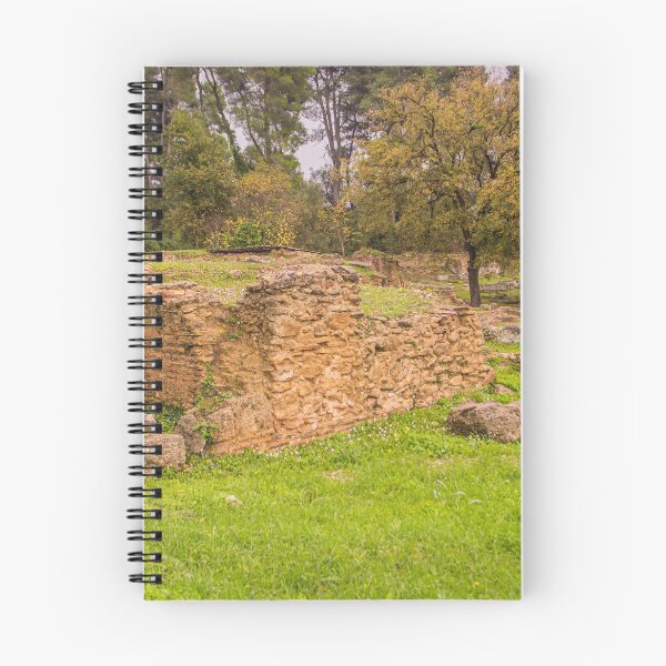 Item preview, Site of Olympia designed and sold by KensLensDesigns.