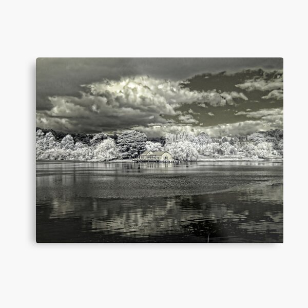 Dalesford Study 1 Metal Print