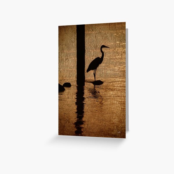 Silhouettes Greeting Card