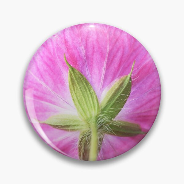 Item preview, Geranium  'Elke'  Cranesbill  designed and sold by Chris Burrows.