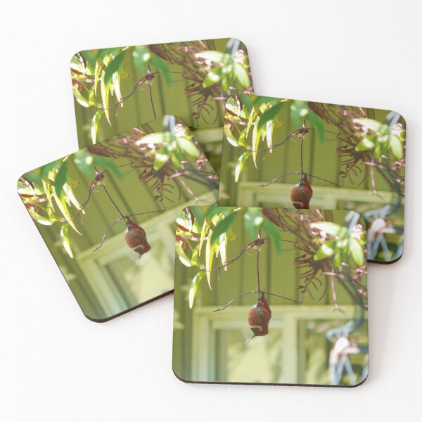 Item preview, Just Hanging Around designed and sold by Gail Bridger.