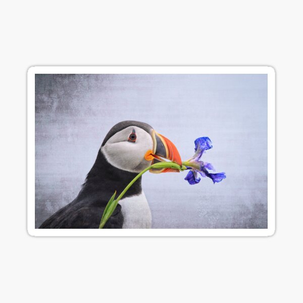 Making Amends Sticker