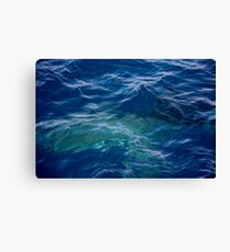 Cruiser Canvas Print