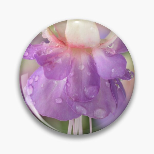 Item preview,  Fuchsia 'Prince George' designed and sold by Chris Burrows.