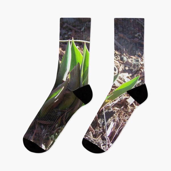 Item preview, Sprouting Tulip Plant designed and sold by GrudleBay.