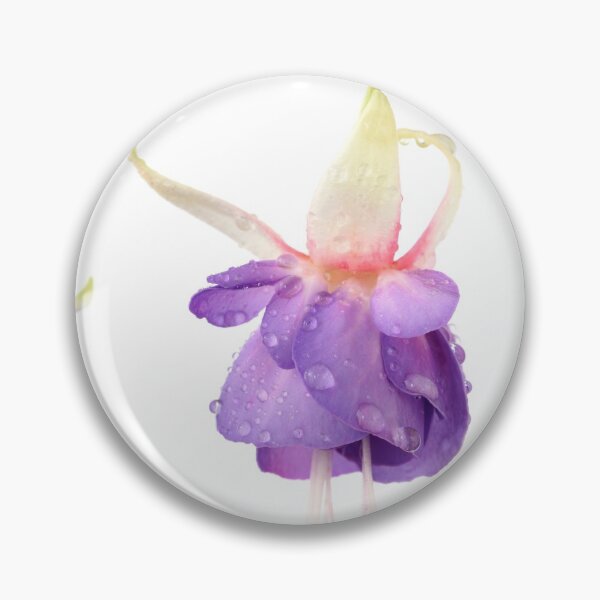 Item preview, Fuchsia  'Prince George'  designed and sold by Chris Burrows.