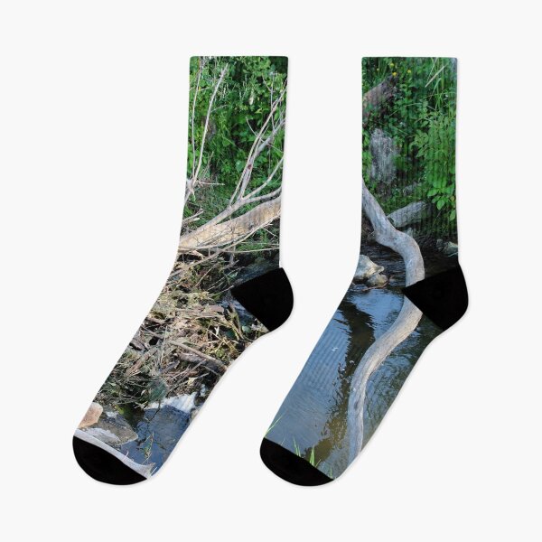 Item preview, Little Stream in the Forest designed and sold by Susie Kramer.